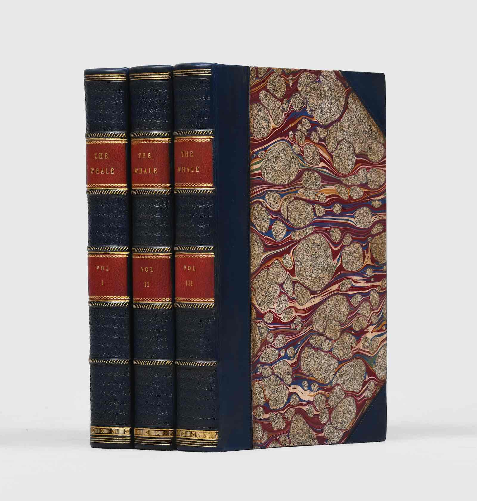 The Whale, Herman Melville