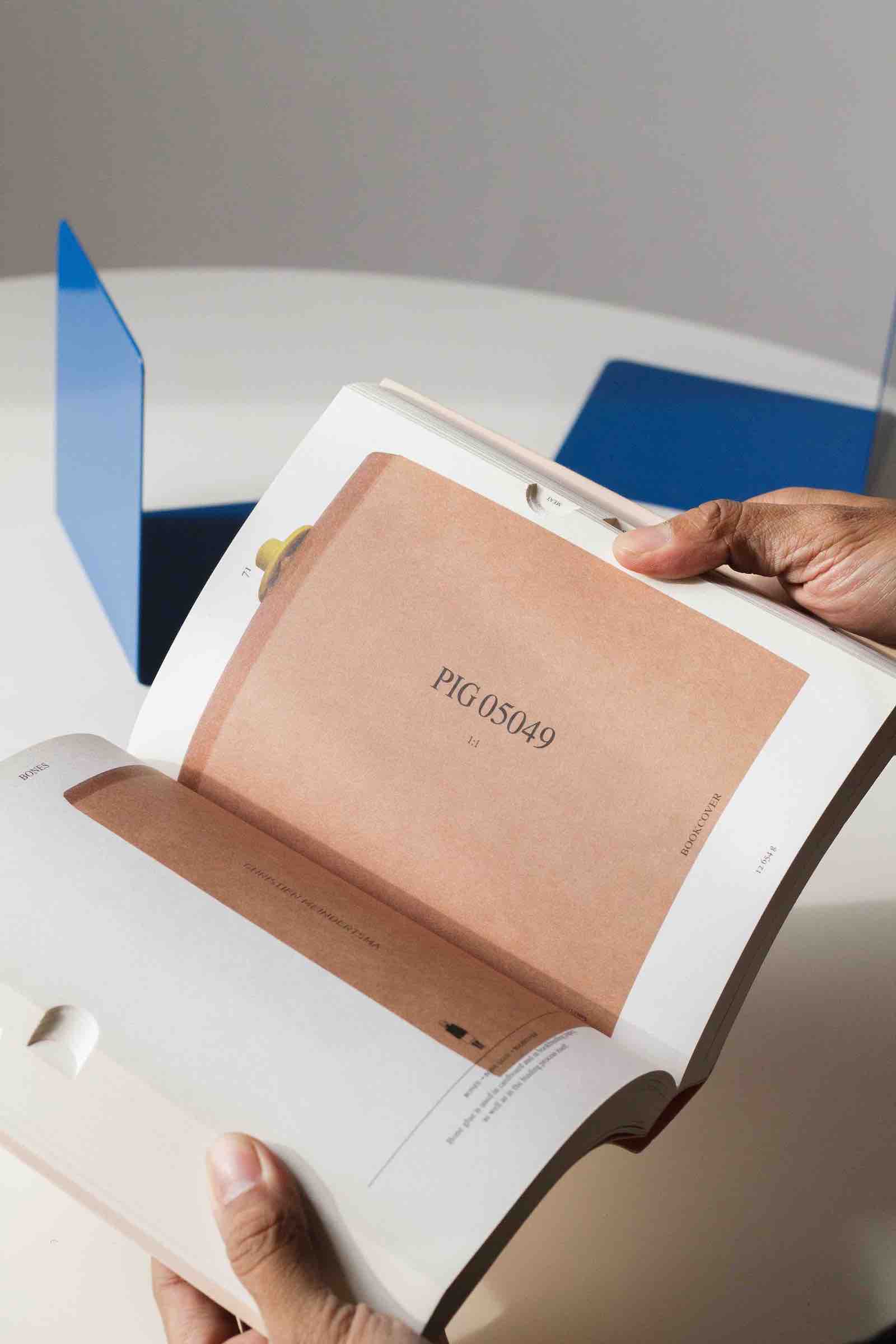 Pig05049_ChristienMeindertsma_Photo_JannaTew.jpg (100.6 KB)