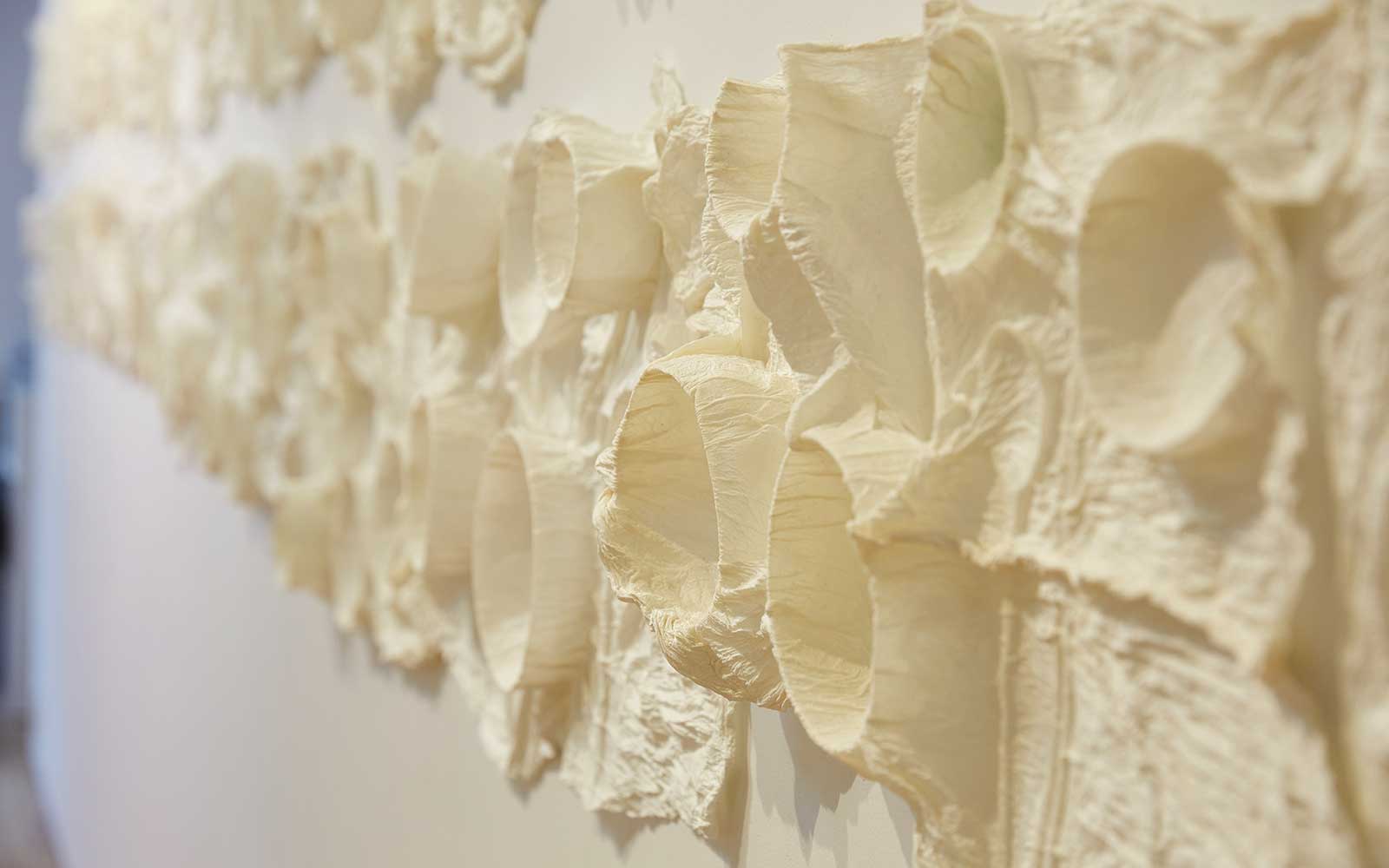 Lee’s 2022-23 exhibition Taking Root