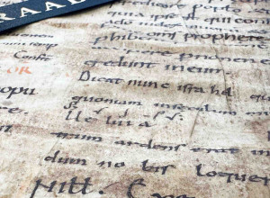 Part of the leaf offered by The Raab Collection