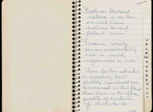 Notebook for Silent Spring