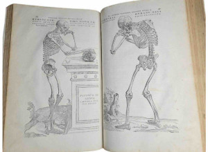 Andreas Vesalius’s De Humani Corporis Fabrica Libri Septem