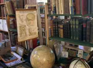 Bath Book Fair, 2024