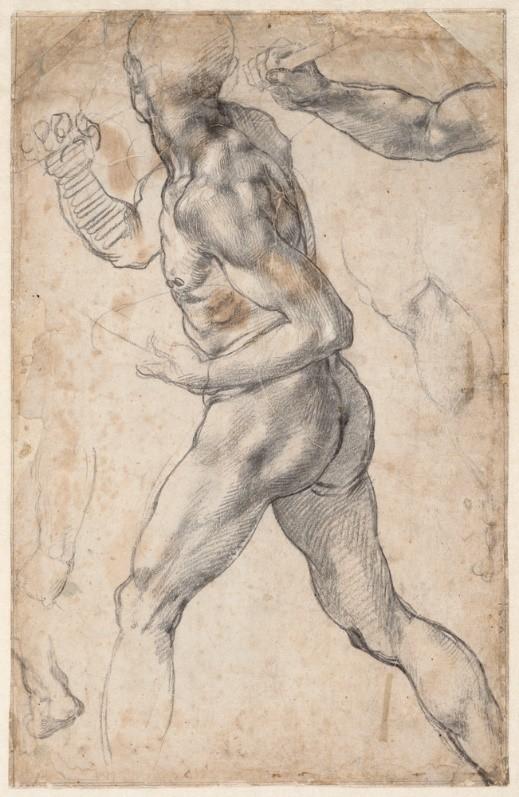 Getty Museum Presents Michelangelo: Mind of the Master | Fine Books