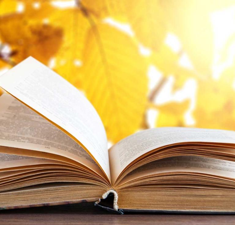 Fall book photo