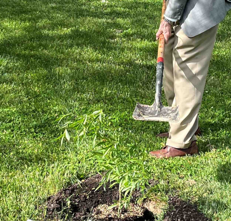 Robert DeMaria, Jr, Professor of English at Vassar College and scholar on the life and works of Samuel Johnson, plants a cutting.